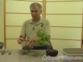 Nasıl Bonsai Ağaçlar Büyümeye: Bonsai Ağaçlar Repotting: Profesyonel Bonsai Büyüyen İpuçları Resim 2