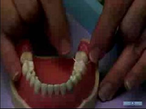 Diş Ve Diş Etleri Sağlıklı Tutmak Nasıl: Dişlerin Düzgün Diş İpi: Diş Bakımı Ve Ağız Hijyeni