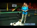 Köpekler İçin Çeviklik Eğitim: Çeviklik Göstermek Köpekler Anlamak Resim 3