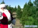 Noel Baba Geliyor: Mükemmel Bir Noel Ağacı Seçmek İçin Nasıl Kuzey Kutbu Tatil İpuçları : 