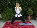 Koden Kaplan Karate Taşır Yeni Başlayanlar İçin: Koden Kan Dövüş Sanatları İçe Blok Resim 3