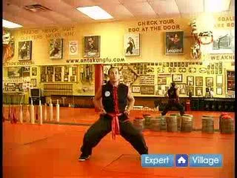 Güney Shaolin Kung Fu : Temel Güney Shaolin Kung Fu Shaolin Çapraz Blok Dövüş Stili  Resim 1
