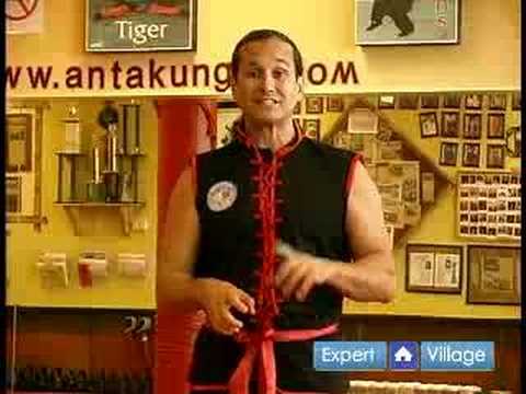 Güney Shaolin Kung Fu: Eller İçin Temel Güney Shaolin Kung Fu Dövüş Stili Kullanmak Nasıl Resim 1