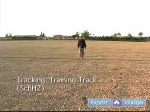 Schutzhund Eğitim Ve Kursları Bir Köpek Dahil: Schutzhund Eğitimi Parça Gelişmiş Ayarları Resim 1