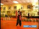 Güney Shaolin Kung Fu : Temel Güney Shaolin Kung Fu Yayı Dövüş Stili 