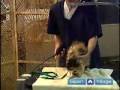 Nasıl Bir Kedi Damat: Nasıl Bir Kedi Kürk Tıraş İle Kesmek İçin Resim 2