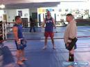 Karışık Dövüş Sanatları Ve Muay Tay Kickboks: Kickboxing Saldırısında Diz Nasıl