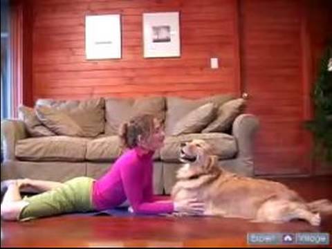 Köpek Yoga Poses Ve Pozisyonlar: Doga Kullanarak Ve Önündeki Köpeğin Dinlenme Resim 1