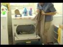 & Çamaşır Yıkama Ütü İçin İpuçları : Sprey Nişasta Demir Kullanarak  Resim 2