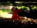 Bir Shaolin Kung-Fu Ustası Olmak İçin Nasıl : Shaolin Kung Fu Kılıç Formu