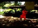 Bir Shaolin Kung-Fu Ustası Olmak İçin Nasıl : Shaolin Kung Sonbahar Ve Bahar Bıçak Fu Resim 2