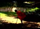 Bir Shaolin Kung-Fu Ustası Olmak İçin Nasıl : Shaolin Kung Fu Form Çubuk  Resim 3
