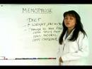 Menopoz İçin Yardımcı Hekim : Değişen Diyet & Menopoz