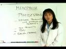 Menopoz İçin Yardımcı Hekim : Fito & Menopoz Resim 2