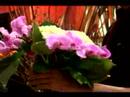 Nasıl Egzotik Çiçek Düzenlemeleri Yapmak İçin : Gelin Veya Düğün Buketleri İçin Doğru Çiçek Seçin 