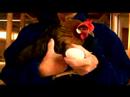 Anlayış Tavuk Ve Yumurta: Kahverengi Bacak Boynuz Tavuk Resim 3