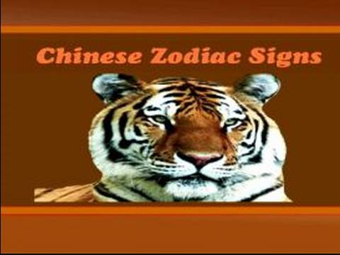 Çin Burç Anlamlar : Tiger Çin Burç