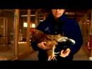 Anlama Tavuk Ve Yumurta: Tavuk Öyküsü