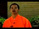 Shaolin Kung Fu Teknikleri : Kung Fu Shaolin Çevirir Ve Tumbles Öğrenin  Resim 2