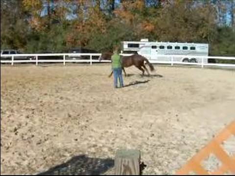 Atını Bir Çizgi Üzerinde Hamle İçin Eğitmek İçin Nasıl : Bir Çizgi Üzerinde Bir At Nasıl Durdurulur  Resim 1
