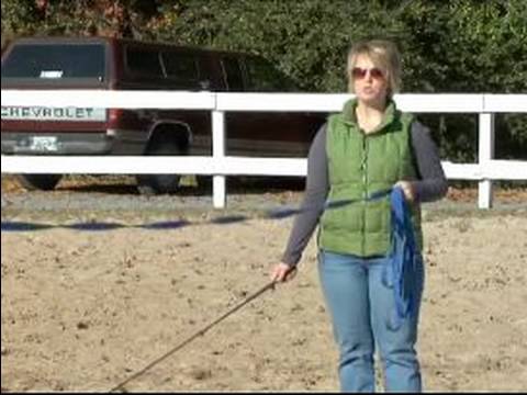 Atını Bir Çizgi Üzerinde Hamle İçin Eğitmek İçin Nasıl : Bir Çizgi Üzerinde Bir At Tırıs Nasıl 
