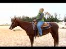 Atını Tırıs Nasıl : Paça Ya Da Koşu Önce İki Eli İle Bir At Yürümeyi  Resim 2