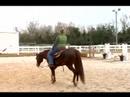 Atını Tırıs Nasıl Yapılır : Uzun Bir Koşu İçine At Geçiş Nasıl 