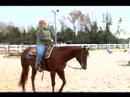 Nasıl Sürmek Senin At, Bir Yürüyüş İçin: Nasıl Bir At Tek Elle Açmak İçin