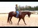Atını Tırıs Nasıl : Paça Ya Da Koşu Önce İki Eli İle Bir At Yürümeyi  Resim 4