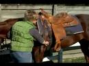 Ne Kadar Batılı Bir Eyer İle Atın Uygun : At Batı Tarzı Yüklemeyi Yaparken Güvenlik  Resim 4