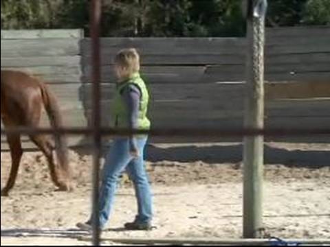 Atını Hamle İçin Nasıl Tren : Ücretsiz Ters Bir Mesafede Bir At Hamle Nasıl 
