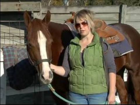 Nasıl Batı Tarzı Bir At Dizgin : Atın Batı Tarzı Bridling Malzemeleri 