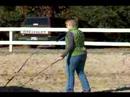 Atını Bir Çizgi Üzerinde Hamle İçin Nasıl Tren : Stop & Hamle Hattı Üzerinde Bir At Yakalamak İçin Nasıl 