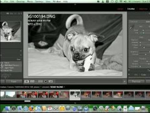 Nasıl Adobe Lightroom Kullanımı : Aydınlatma Modülü Geliştirmek Kullanarak 