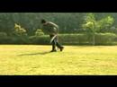 Nasıl Kriket Oynanır: Nasıl Bir Bacak Bakışta Kriket Sopası Resim 4
