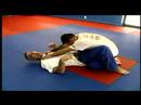 Karışık Dövüş Sanatları Teknikleri: Mma Zemin Çalışma Öğrenme Resim 3