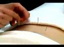 Akupunktur Ve Çin Tıbbı : Akupunktur Sindirim Ve Böbrek Puan Resim 3
