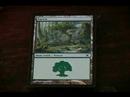 Nasıl Magic Oynamak İçin: Toplama: Yeşil Büyü Magic: The Gathering Resim 2