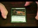 Magic The Gathering: Yeşil Kart İçin Rehber: Rootwalla Yeşil Kart Büyüye Toplama Resim 4