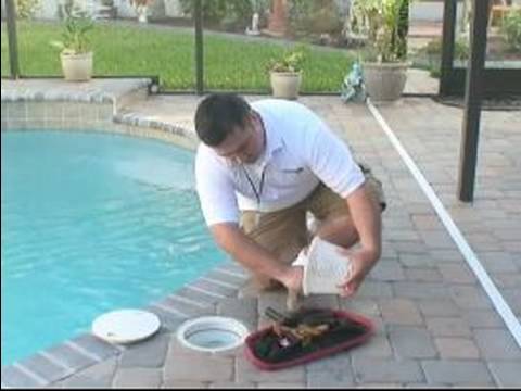 Yüzme Havuzları Temizlemek Nasıl: Nasıl Yüzme Havuzu Skimmer Sepetleri Temizlemek İçin