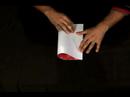 Nasıl Bir Origami Gül Yapmak: Kağıt Origami Gül İçin Seçme