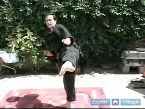 Gelişmiş Okinawa Kempo Karate: Cezaevi Tekme Kempo Karate Yapılır