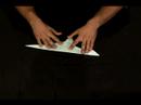 Nasıl Bir Origami Manatee Yapmak: Bir Origami Manatee Başkanı Yapma