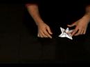 Nasıl Origami Su Lily : Origami Nilüfer İçin Kaynaklanıyor Terbiye  Resim 4