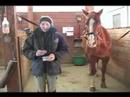 Nasıl Bir At Klibi İçin : Atlar İçin Kırpma Bıçakları Çeşitleri  Resim 2