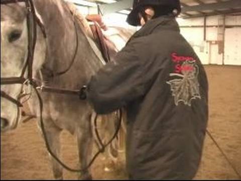 Nasıl Bir At Longe : Longe Hattı Üzerinde Bir Atın Dizginleri Sıkma 