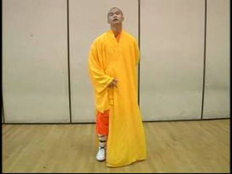 Shaolin Dövüş Sanatları Meditasyon Egzersizleri : Baduanjin Qigong Egzersiz 6 Resim 1