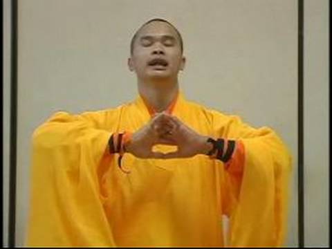 Shaolin Dövüş Sanatları Meditasyon Egzersizleri : Yi Jin Jing 12 Ve 13 Egzersizleri  Resim 1