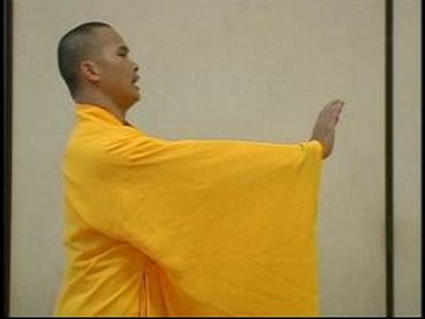 Shaolin Dövüş Sanatları Meditasyon Egzersizleri : Yi Jin Jing Egzersizleri 8 & 9