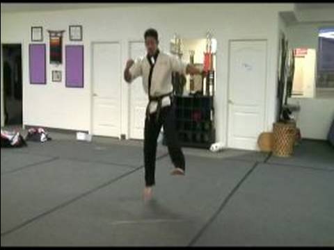 Tae Kwon Do 540 Kick: Matkaplar Atlama Tekvando Kick Resim 1